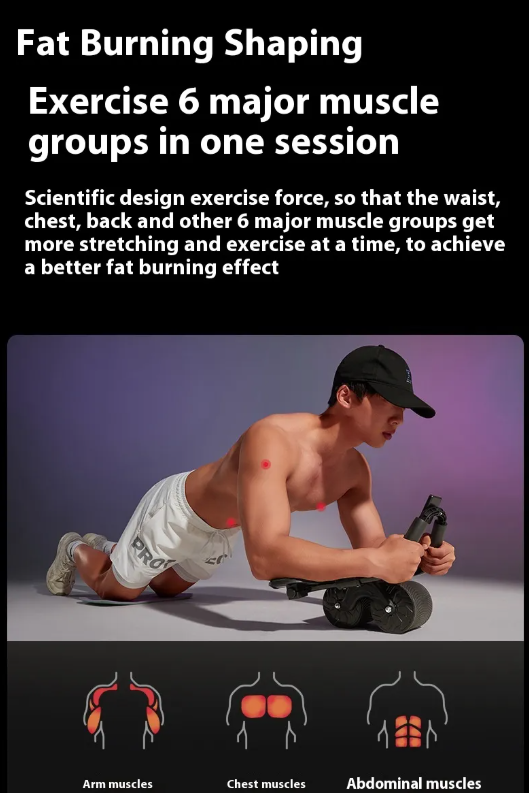 Core Sculpting Rebound Workout Wheel 🔥