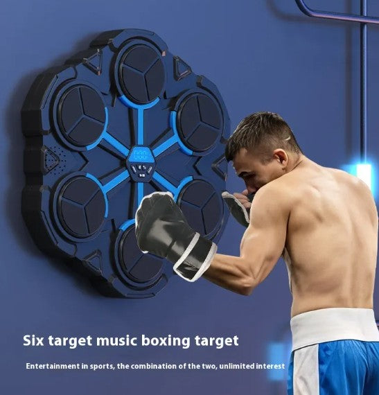 Wall Mounted Boxing Target Trainer 🥊