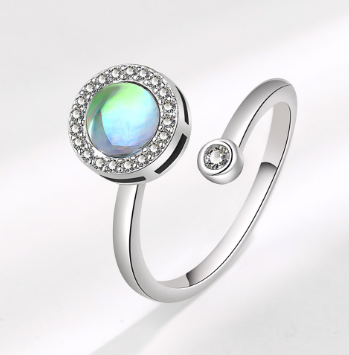 Modern Minimalist Spinner Ring