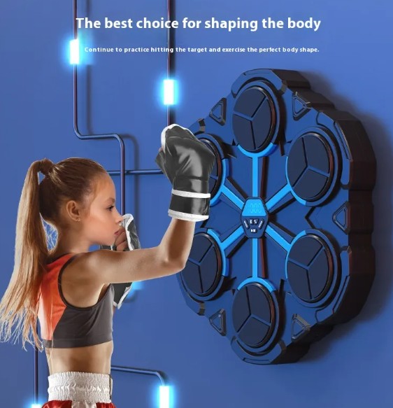 Wall Mounted Boxing Target Trainer 🥊